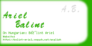 ariel balint business card